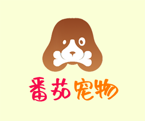 一年猫可以不吃猫粮吗为什么？猫咪是否可以长期不吃猫粮？