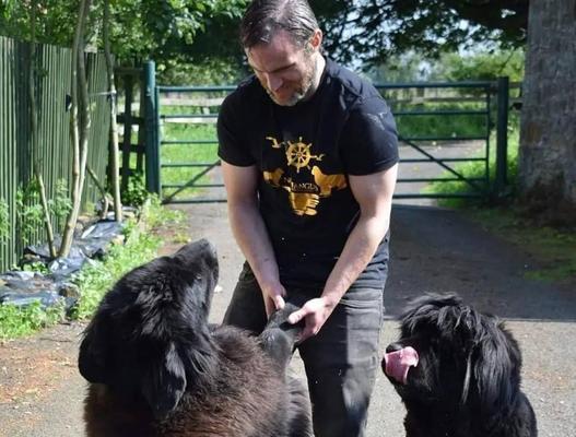 纽芬兰犬饲养指南（从选购到训练，打造健康快乐的宠物生活）