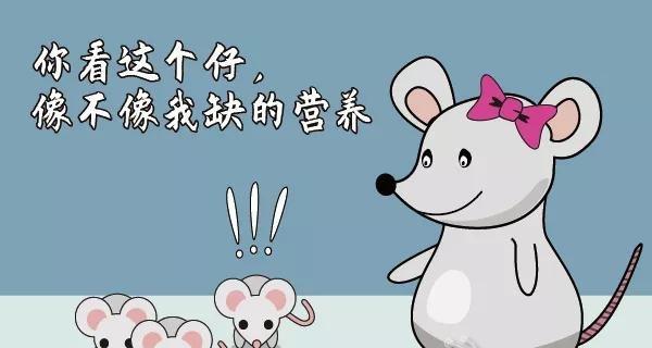 以斯氏高山鼠平的饲养方法（让你的宠物健康快乐生活）
