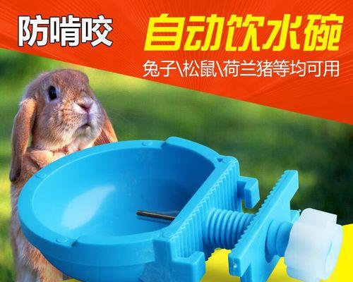 水兔的饲养方法（以宠物为主的详细指南）