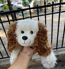 可卡犬的抱法技巧详解（宠物爱好者必读，让你的可卡犬感受你的温暖）