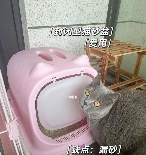 如何正确使用猫砂？（为您的宠物提供最佳生活条件）