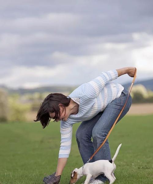 如何正确使用狗绳牵引宠物（让你的宠物走路健康又舒适，避免不良行为）