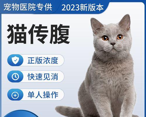狗的腹膜炎——怎样预防和治疗（宠物狗常见的肠胃疾病，腹膜炎怎么办？）