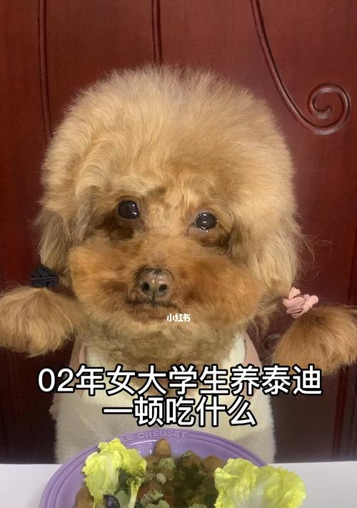 贵宾犬长毛大揭秘（营养摄入如何影响犬毛生长？）