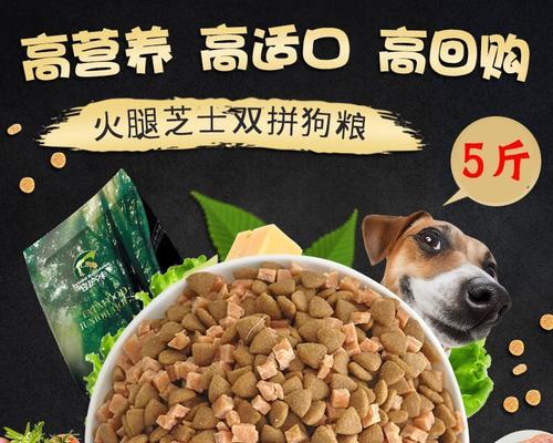 贵宾犬的主食选择（让你的爱宠健康成长）