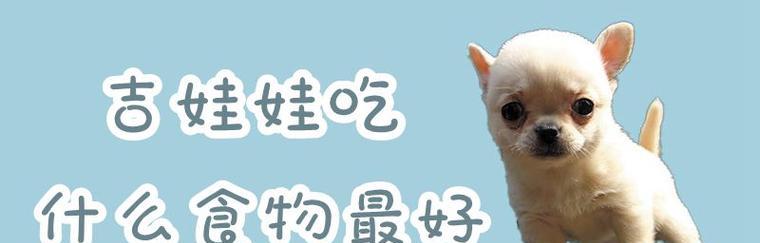 蝴蝶犬怀孕期间该吃什么？（宠物营养，健康孕育）