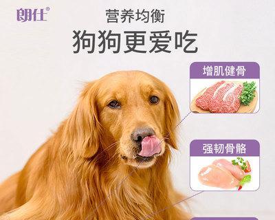 金毛VS德牧，谁更适合作为宠物？（深入比较两种犬种的优缺点，帮助你做出明智的选择）