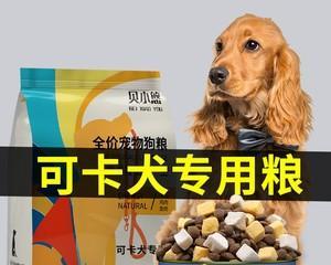 如何为可卡犬补钙（营养均衡关键保健，科学补钙犬健康）