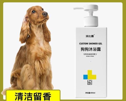 如何为可卡犬洗澡？（可卡犬洗澡的秘诀）