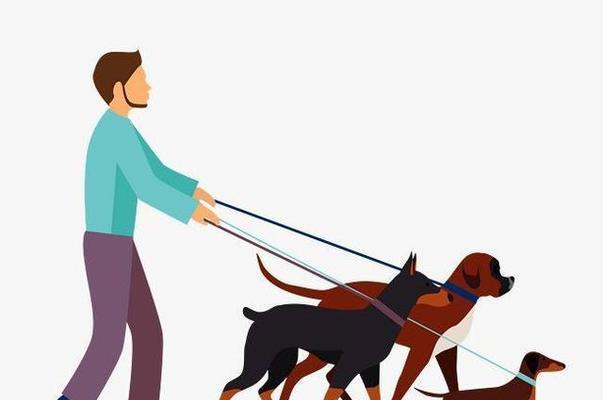 狂犬病，不可忽视的宠物健康问题（揭开5大误区，正确对待宠物狂犬病防控）