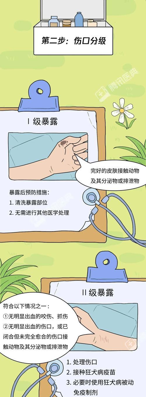 狂犬病流行病学调查与防治（从宠物管理到社区宣传，预防从我做起）
