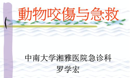 狂犬病流行病学调查与防治（从宠物管理到社区宣传，预防从我做起）