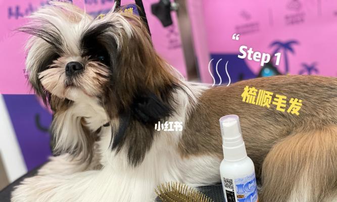 如何科学护理你的西施犬？（了解宠物的生活习性，让它健康快乐地成长）