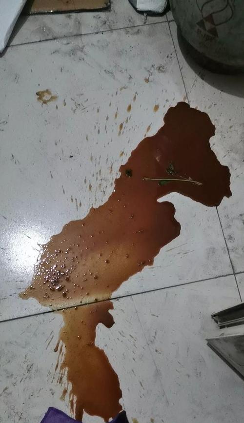 如何有效治疗狗狗细小病毒？（以宠物为主的治疗方案及预防措施）