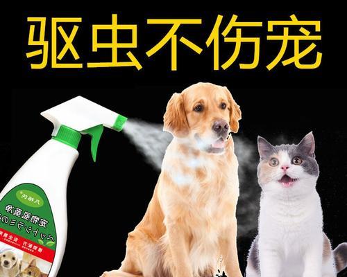 如何处理宠物长虱子问题（宠物虱子的危害及处理方法）