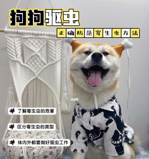 寄生虫对宠物犬的危害（了解狗狗身体内寄生虫的种类及对狗狗造成的危害）