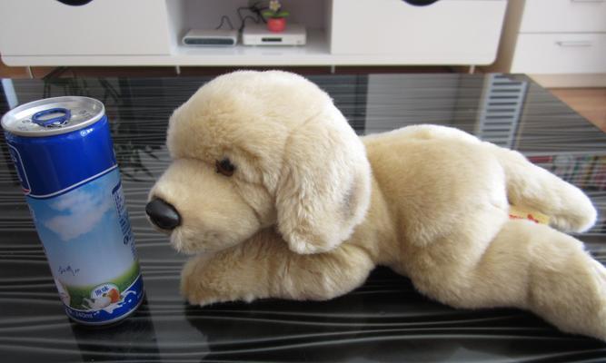 如何让你的可卡犬长得更高大？（以宠物为主，从饮食、运动、护理三方面着手）