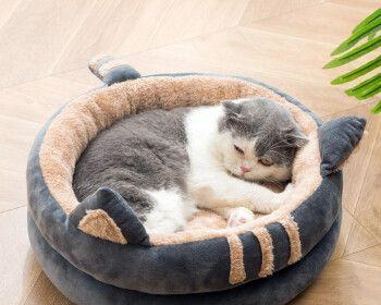 如何让你的猫咪喜欢用猫窝？（以宠物为主，解决猫咪不爱用猫窝的烦恼！）