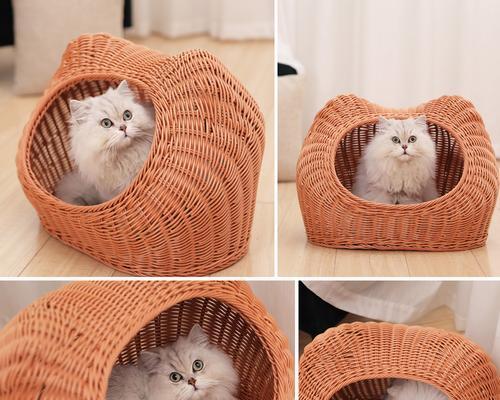 如何让你的猫咪喜欢用猫窝？（以宠物为主，解决猫咪不爱用猫窝的烦恼！）