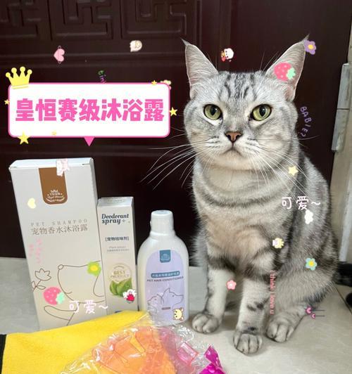 如何在家给猫咪洗澡？（选择合适的沐浴露，让猫咪洗澡更舒适）