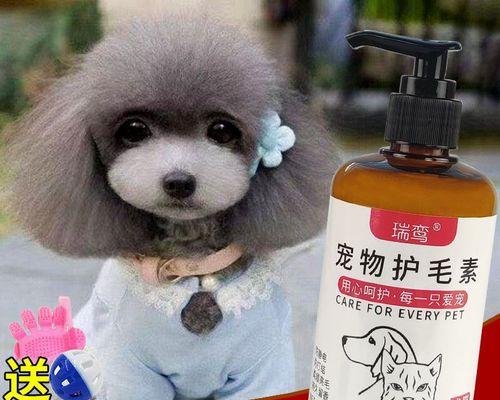 如何让你的宠物狗狗拥有一头亮丽的毛发（宠物美容小技巧，轻松打造一头漂亮的狗狗毛发）