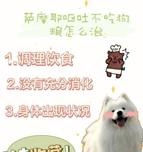 如何应对萨摩耶盐中毒事件（宠物中毒的严重后果及应对方法）