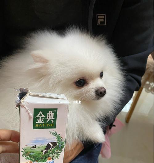 为何狗狗喝牛奶会拉稀？（探究狗狗喝牛奶引起腹泻的原因及预防措施）