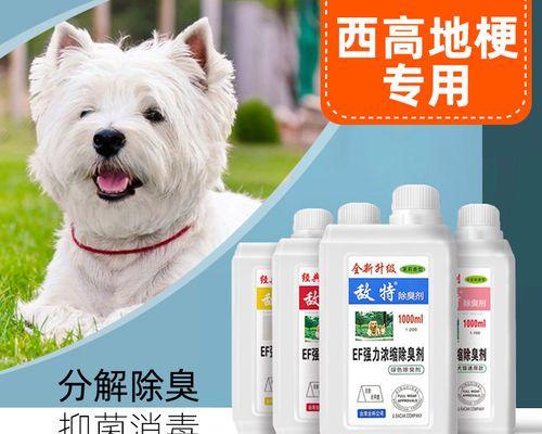 如何消除宠物西高地的体味？（15个实用的方法让你的房间不再有异味）
