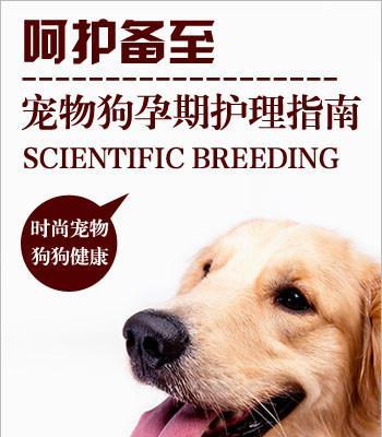 喜乐蒂牧羊犬护理全攻略（让你的喜乐蒂牧羊犬健康成长）