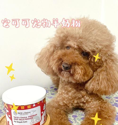 宠物狗喝羊奶粉的好处（如何让你的宠物狗更健康？）