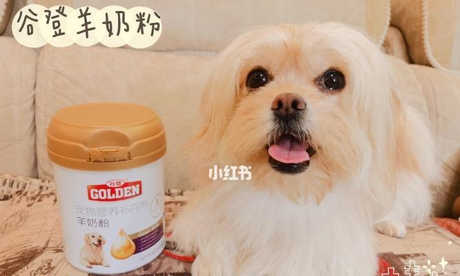 宠物狗喝羊奶粉的好处（如何让你的宠物狗更健康？）