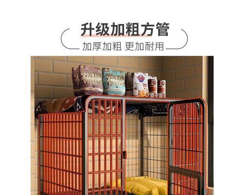 如何训练金毛进笼子？（以宠物为主，掌握这些技巧关键）