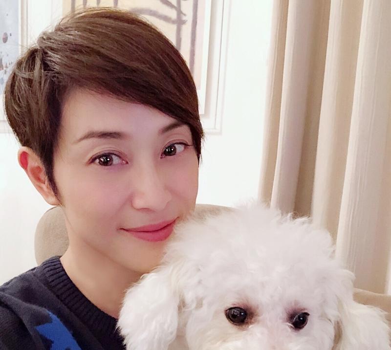 如何训练可卡犬？（注意语气，引导正确行为）