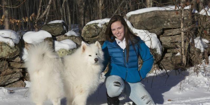 萨摩耶犬训练大全（掌握这四种方法，让你的萨摩耶犬乖乖听话）