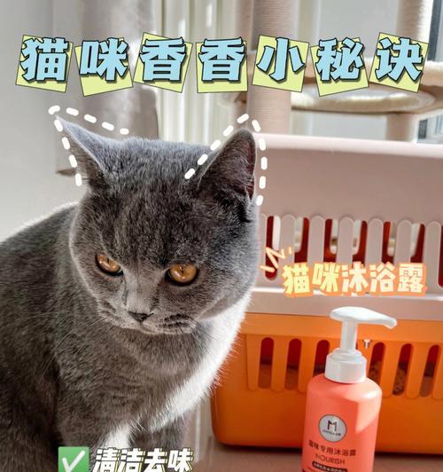 如何选择适合猫咪的洗浴用品（建议和注意事项，宠物保健的关键）