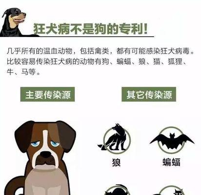 狂犬病的认识与防治（以宠物为主的预防措施）