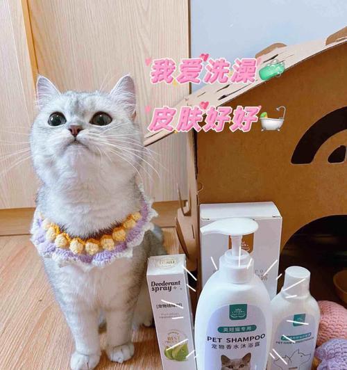 如何让宠物猫咪适应洗澡？（建立良好的洗澡习惯，让猫咪享受洗澡过程）
