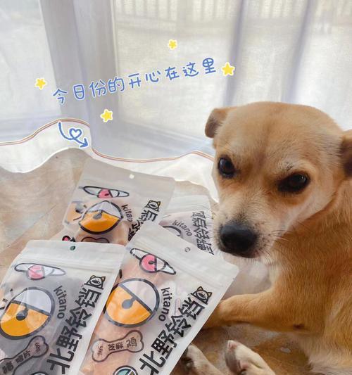 科学喂养，让宠物狗狗健康成长（探究宠物狗狗喂零食的科学方法，让爱宠更健康快乐）
