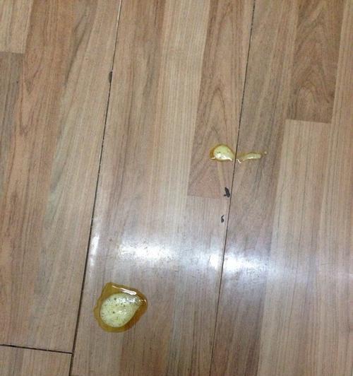 宠物腊肠犬吃完驱虫药后的注意事项（预防措施、常见反应及处理方法）