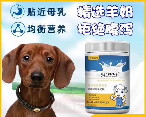 如何为腊肠犬提供全面的营养（以宠物为主，打造健康可爱的腊肠犬）