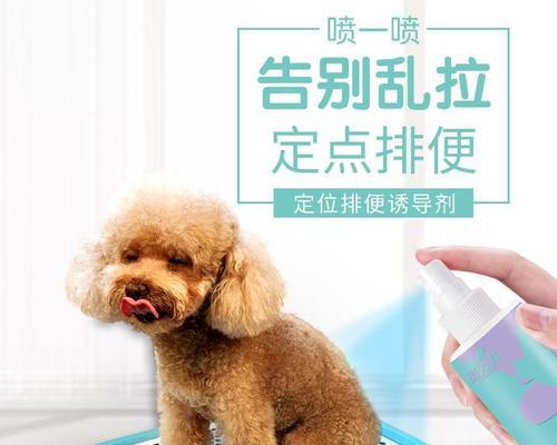 罗福梗犬发生意外事故的应急措施（如何保障宠物安全，防止事故发生）