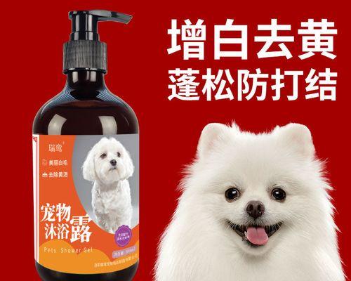 如何选择适合萨摩耶的沐浴露？（选择适合毛发的沐浴露是养护萨摩耶毛发的关键）