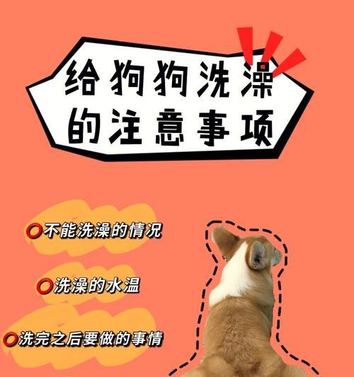 天冷时洗澡的狗狗需要注意什么？（宠物主人必看的洗澡小知识！）