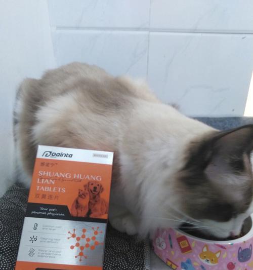 冬季宠物护理-预防猫咪感冒（如何让你的猫咪度过寒冷的冬天）