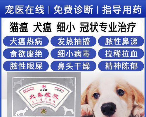 小狗细小和犬瘟的防治（以宠物为主，关注预防）
