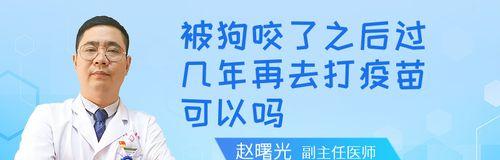 如何处理小孩被宠物狗咬伤口？（宠物狗咬伤小孩，家长应该怎么做？）