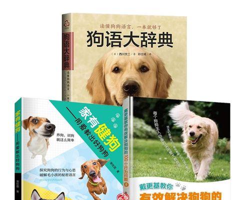 训狗的重要性：如何训练宠物狗成为优秀的家庭伴侣