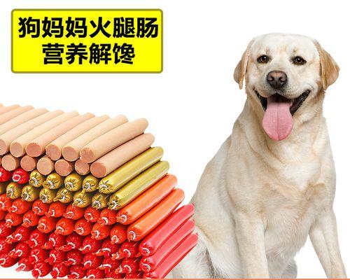 宠物金毛幼犬需要补充哪些营养品？（了解金毛幼犬的营养需求，为它们提供更健康的生活）