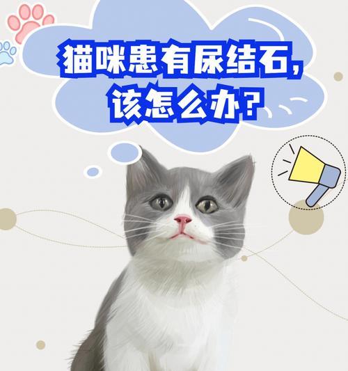 宠物猫妈妈生完小猫后尿尿困难（如何帮助猫妈妈缓解尿意、如何预防尿路感染）